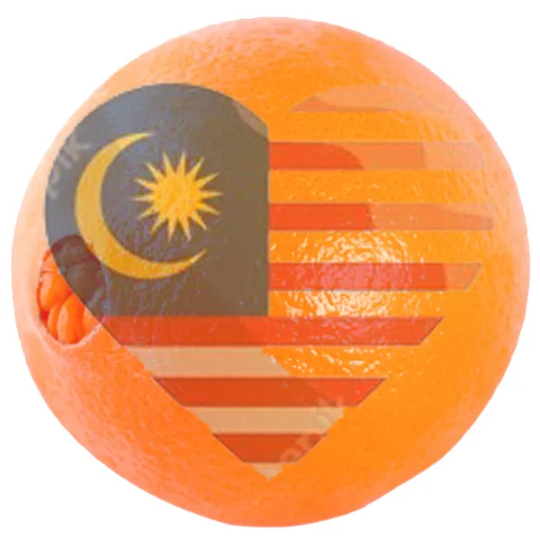 SPECIAL DISCOUNT FOR Malaysians 2021/2022 Egyptian fresh Navel orange is now available for reservations (TOP QUALITY)