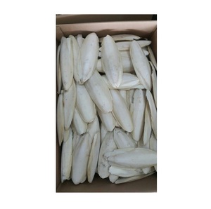 High Quality Cuttlefish Bone Available For Sale