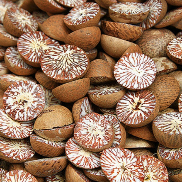 Сырые сушеные орехи BETEL/BETEL в Азии/whatsapp: + 84 845 639 639