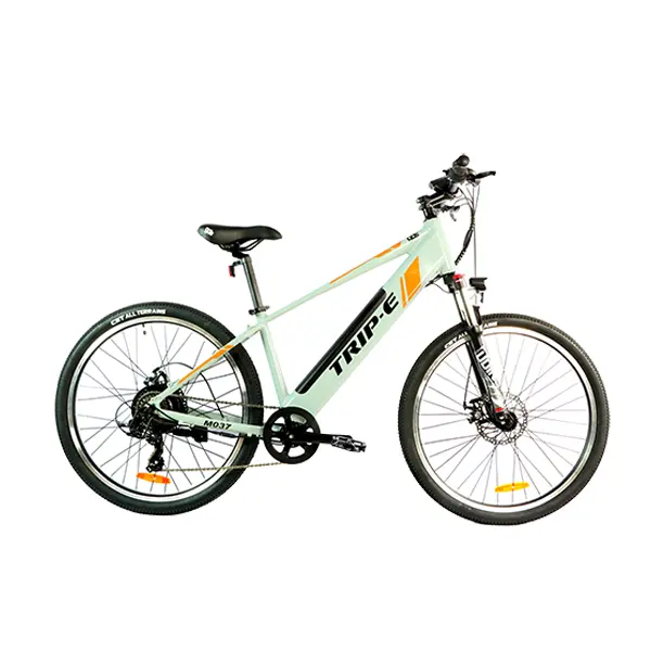 GDS EBIKE E-bike Mountainbike E Cycle 2021 Electric Bicycle