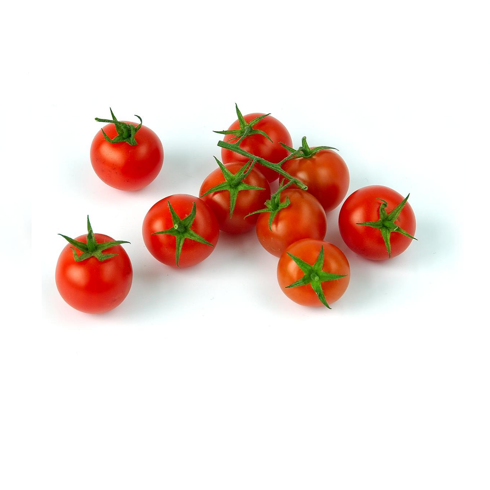Fresh tomatoes /plum / cherry