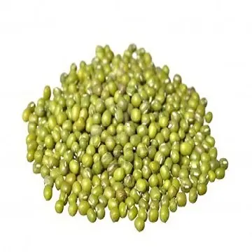 Green mung beans / Green mung beans of myanmar origin