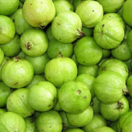 2020 свежие гуава, сладкие вкусные фрукты гуавы из Вьетнама, Заводские поставки натуральных фруктов, вкусные, высшее качество