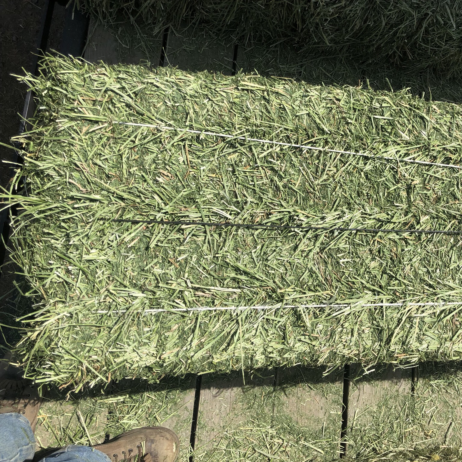 Alfafa Hay,Hay Animal Feed, Hay Feed