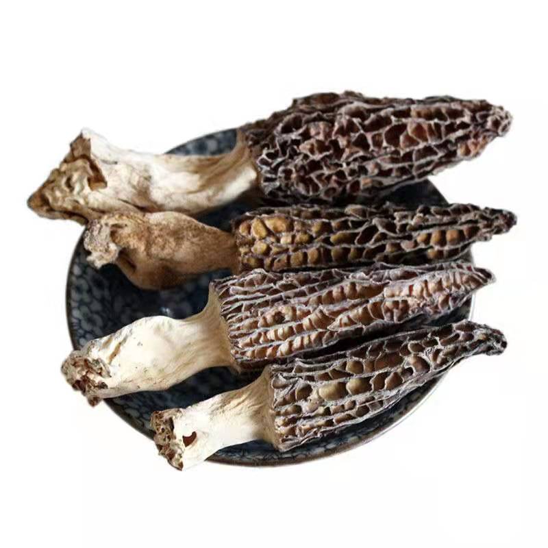 Detan 2020 New Season Supplying Great Texture Dry Morel Morchella Mushroom