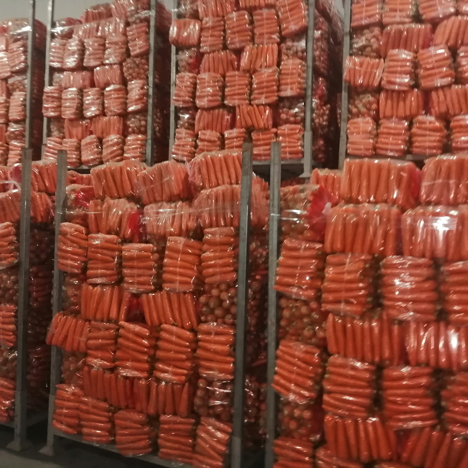 Свежая морковка Carrotfresh, морковь, цена на экспорт, оптовая продажа, упаковка, 4,5 кг, свежие овощи, Премиум качество, морковь круглый год, 1 шт. 20 футов