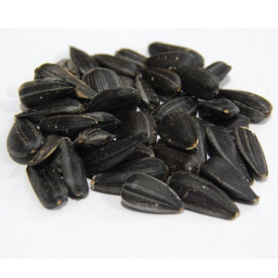 sunflower seeds kernel grade&bakery grade