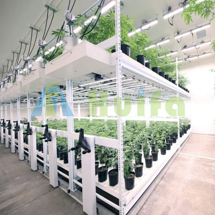 Factory Directly Agricultural Greenhouse Mobile Vertical Grow Rack Mobile Grow Rolling Benche
