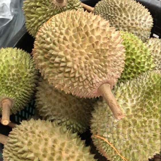 Премиум-класса High Hill Fresh Mao Shan Wang Durian D197 из малайзии