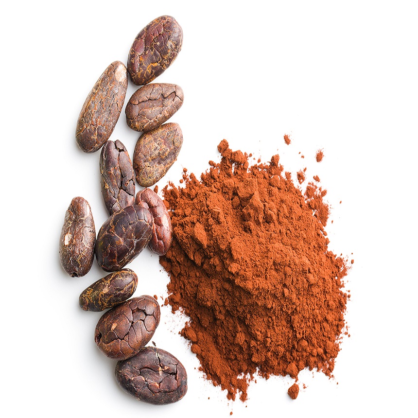 Good Quality Dried Grade A Cocoa / Natural organic cocoa powder of best price