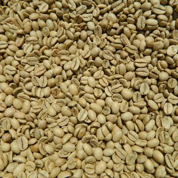 Зеленые кофейные зерна Monsooned Malabar класса AA Arabica Indan