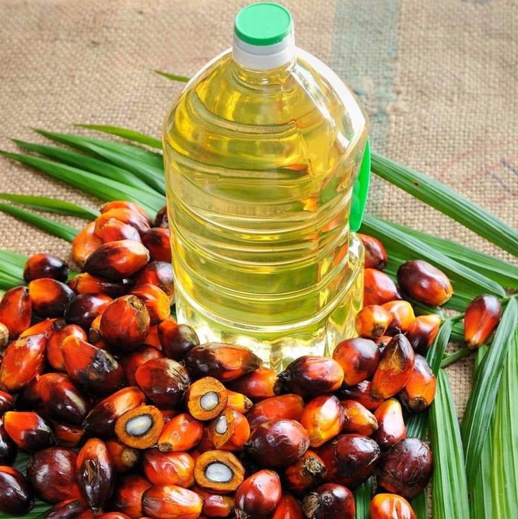 Palm Kernel OIl CP6, CP8, CP10 ,CP12/ RBD For Sale