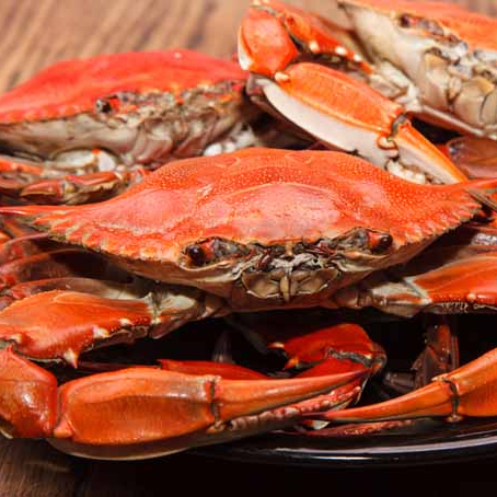 CHEAP HIGH QUALITY Wholesale Frozen King Crabs / Live King Crab / King Crab Legs from EUROPE