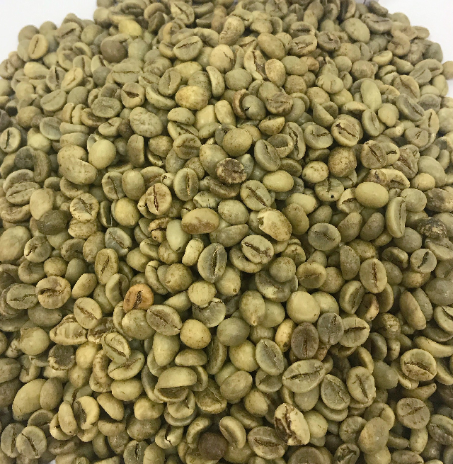 Robusta зеленый кофе в зернах 1 экран 18/влажная полированная/Вьетнам сырые кофе в зернах