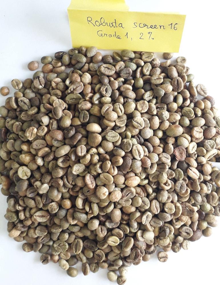 Кофе в зернах Robusta класса 1 экран 16/вьетнамские кофейные зерна