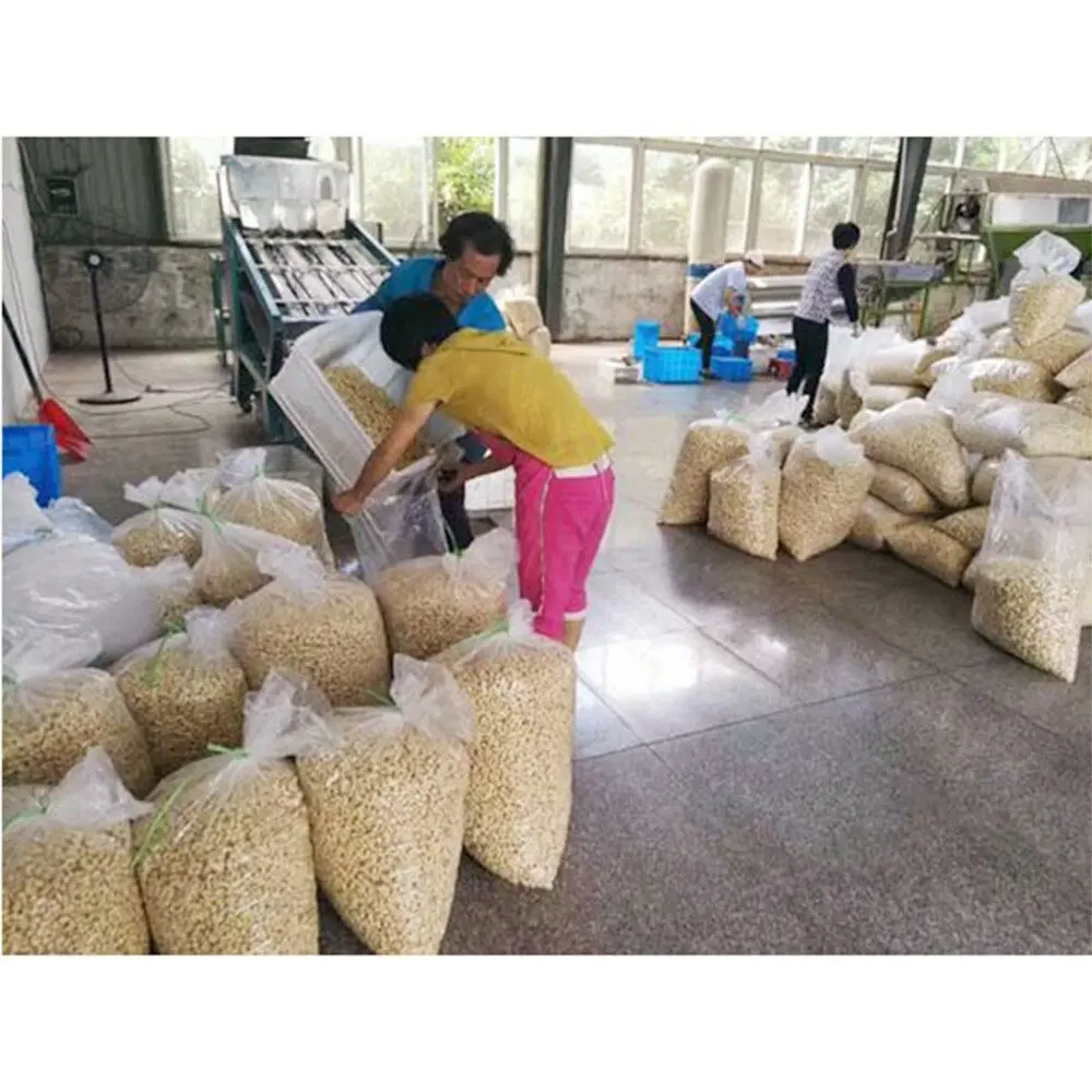 2019 cheapest import cashew nuts from vietnam shelling machine cashew cashew nuts dryer