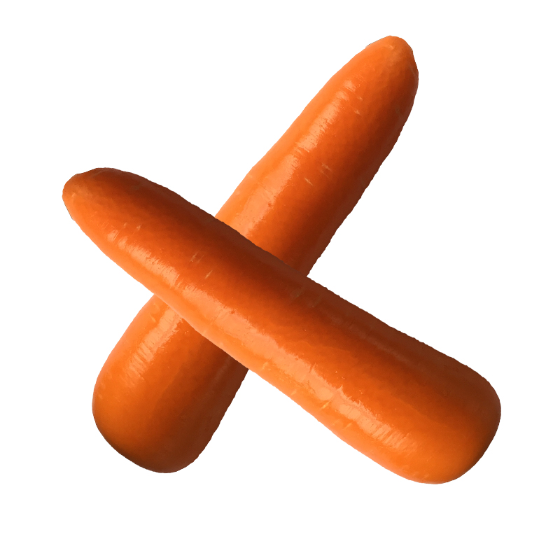 Fresh Carot от китайского поставщика