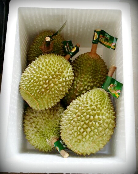 Горячая Распродажа! Премиум свежий Musang King Durian D197 из малайзии