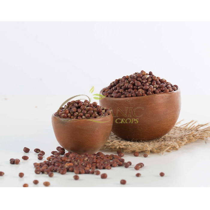 2019 Newest Crop Organic Sudan Pigeon Pea Seeds Price