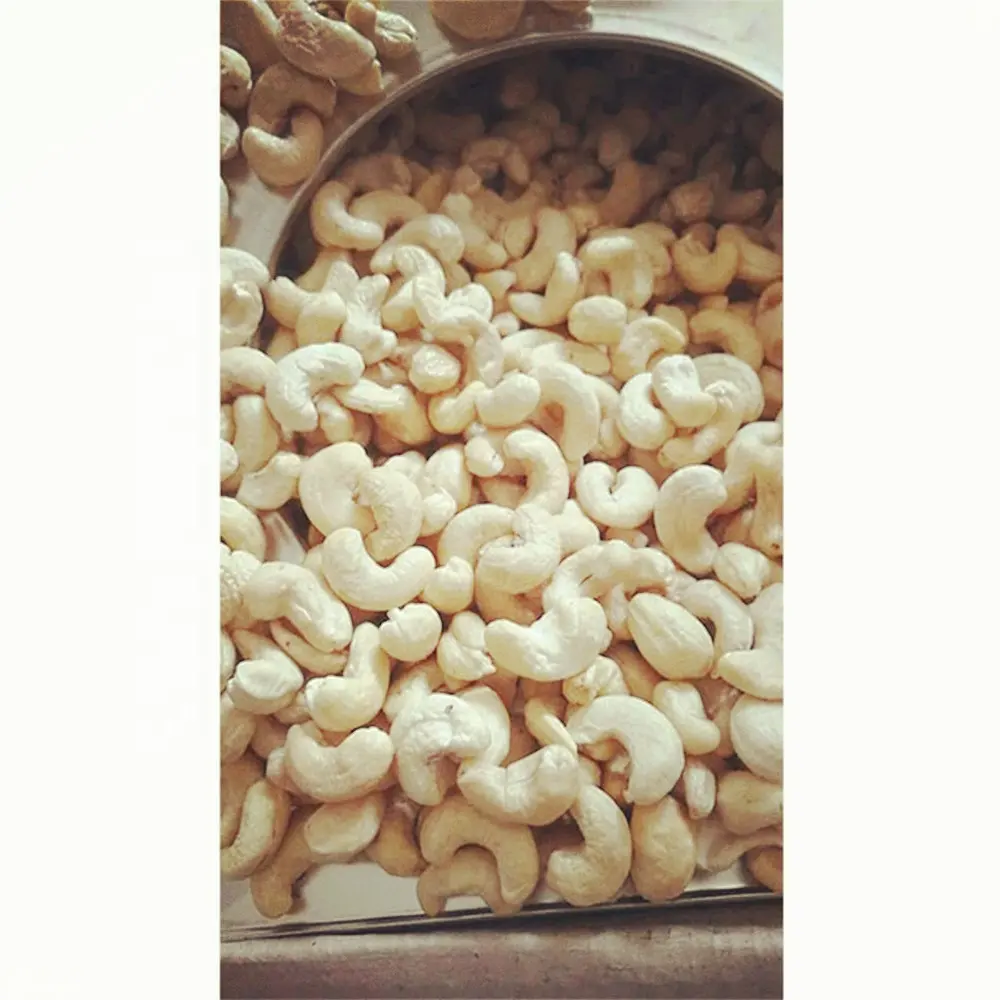2019 cheapest panruti cashew cashew sw320 cashew nuts france