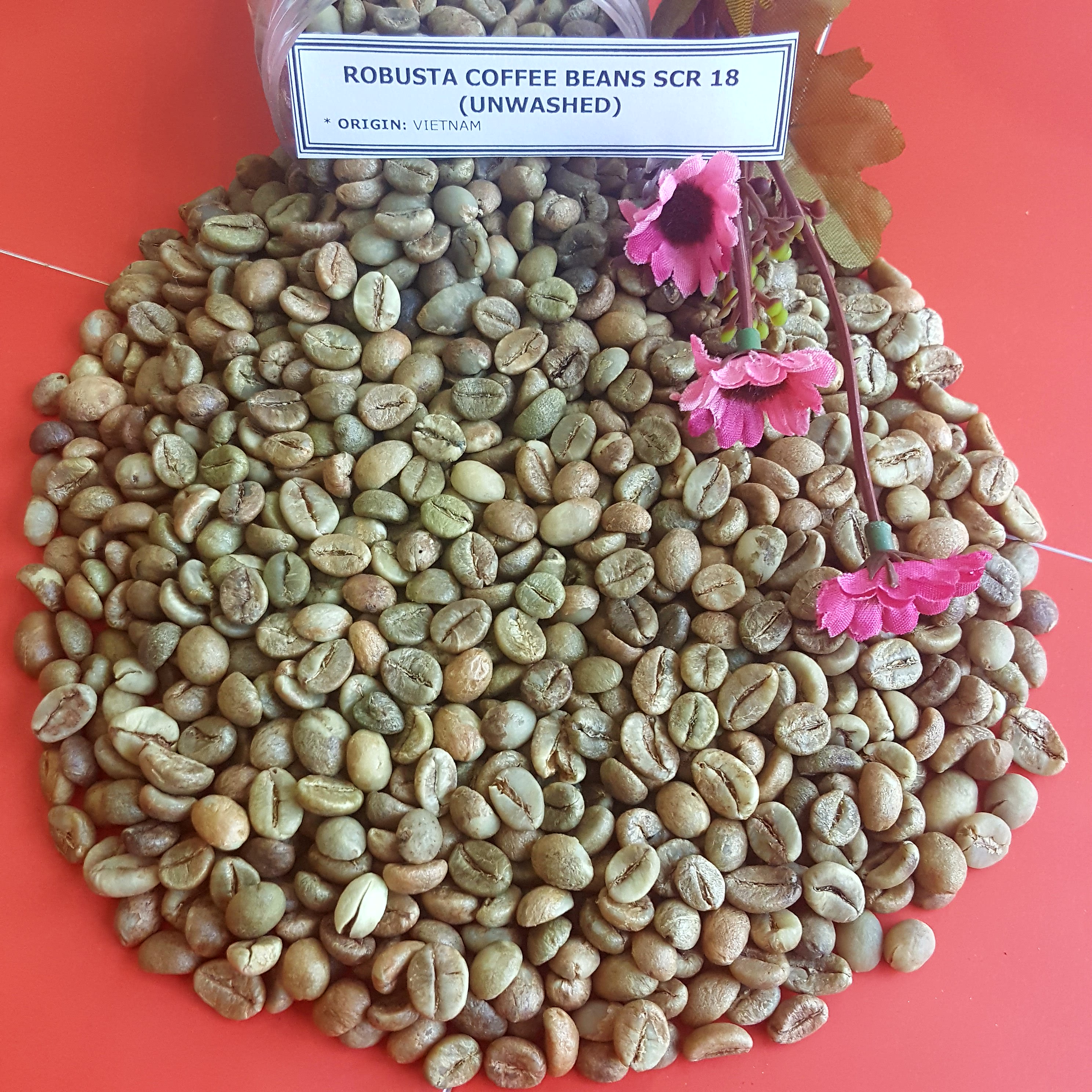 Vietnam Robusta green coffee beans
