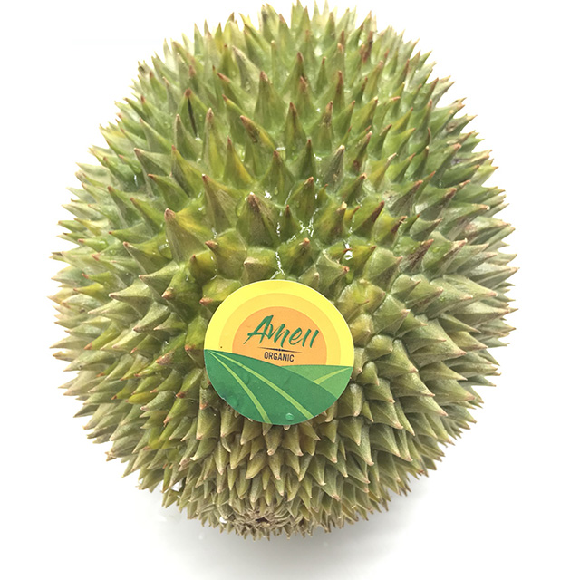 HIGH QUALITY COW DURIAN FROM VIET NAM