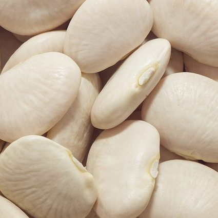 White Butter Beans - Best Quality and Price