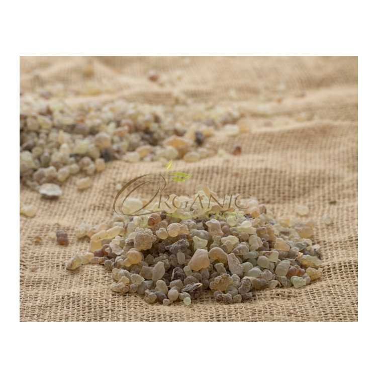 Great Quality Natural Flavored Frankincense Gum Olibanum from Sudan