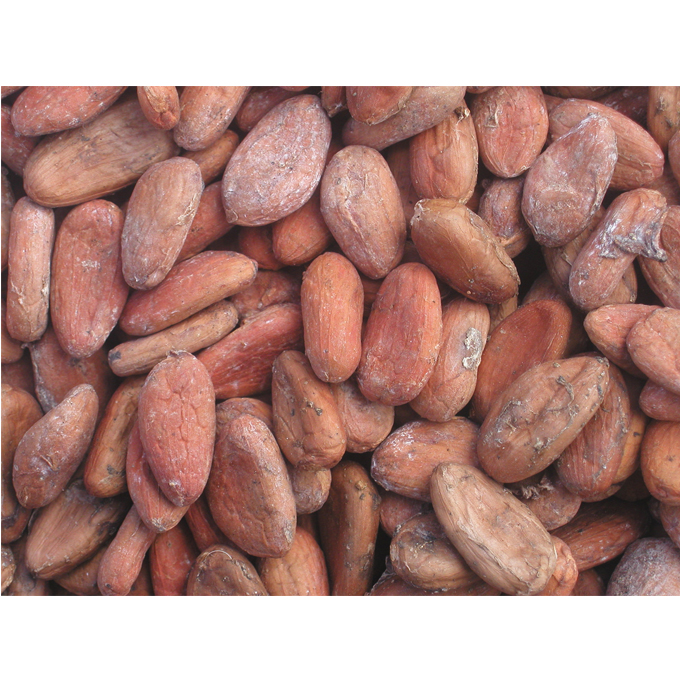 Органические Ceylon Criollo Какао бобы