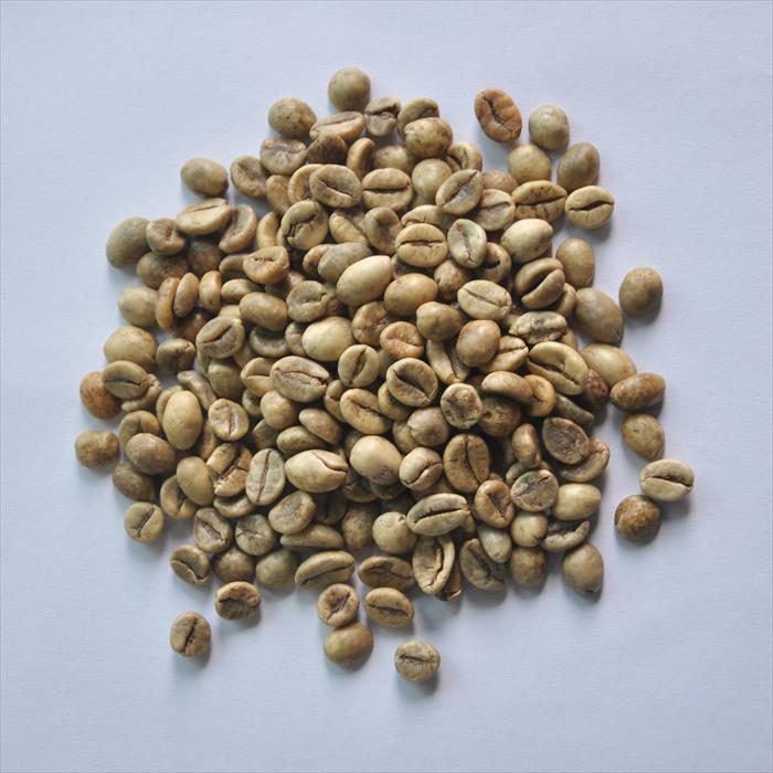 Robusta Green Coffee Bean/ Grade 1 Screen 16/Wet Polished