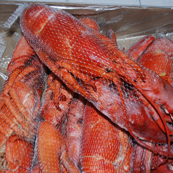 Замороженные морепродукты канадского омара