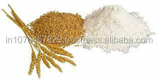 WHEAT SEEDS FOR SOWING