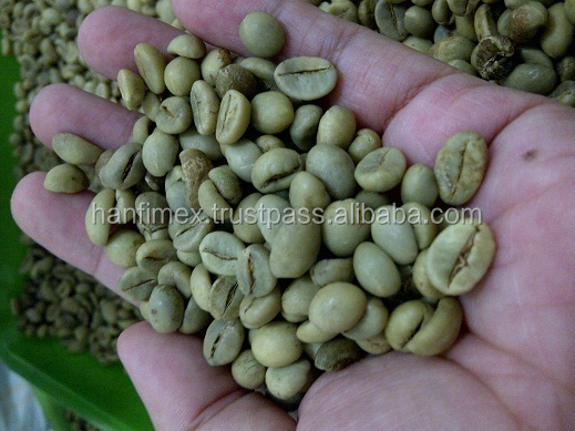 Vietnam Coffee Green Bean Robusta Type Screen No S18 Grade 1 (Whatsaap: 0084965152844)