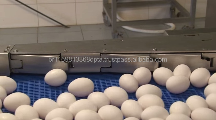 Свежие настольные яйца для приготовления пищи, белые и коричневые