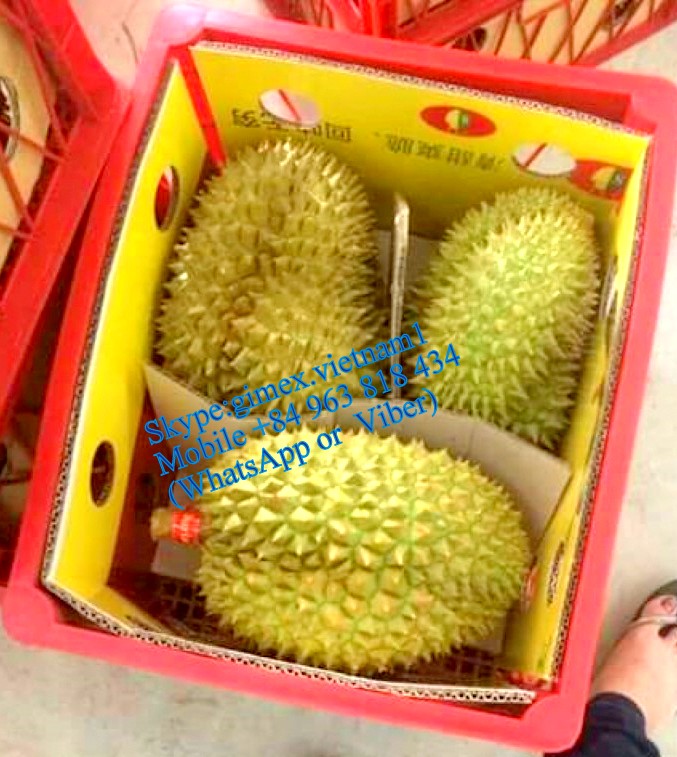 Свежие трусики-Тонги DURIANS из Вьетнама