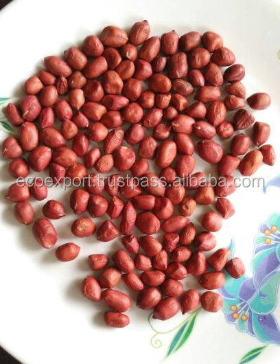 New crop red skin peanuts kernel