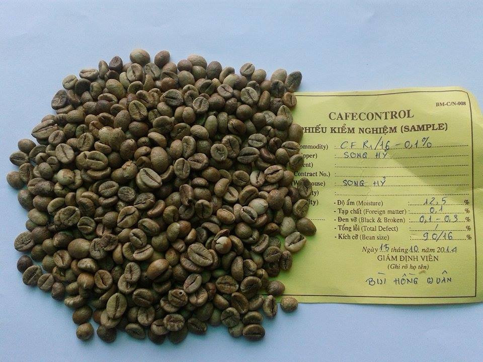 КОФЕ Robusta по лучшей цене от вьетнамского урожая 2016 - 2017
