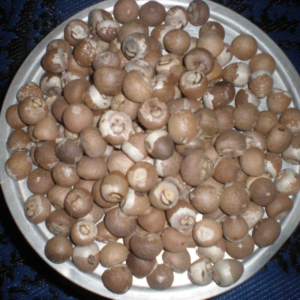 BETEL гайки 80% хорошая резка Вьетнам