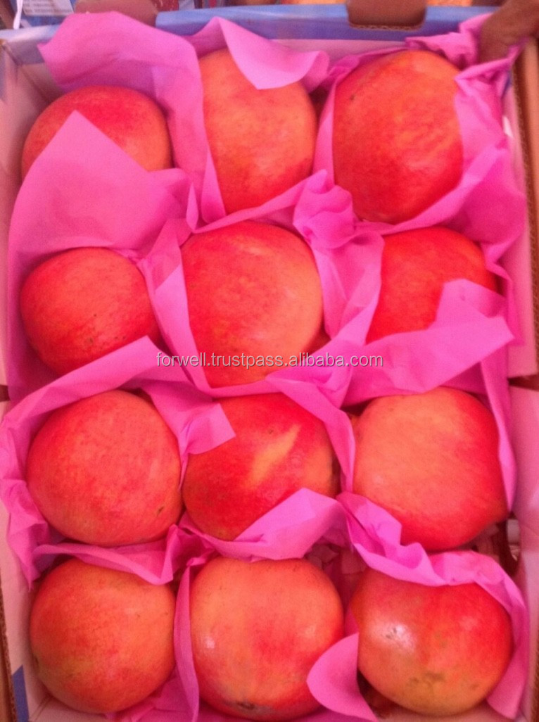 fresh fruit pomegranate from egypt