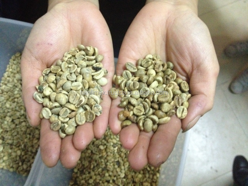Вьетнамские кофейные зерна Arabica S14/S16/S18, стираются (Viber/Whatsaap: + 84965152844)