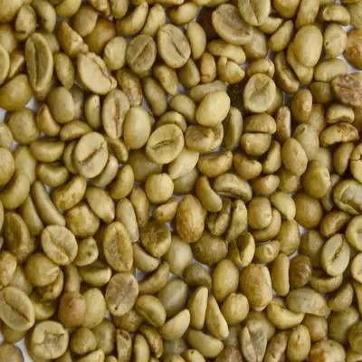 VIET NAM ROBUSTA COFFEE BEANS FOR SALES