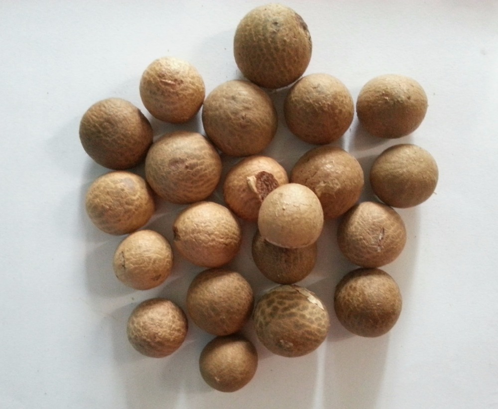 DRIED WHOLE BETEL NUT SMALL SIZE