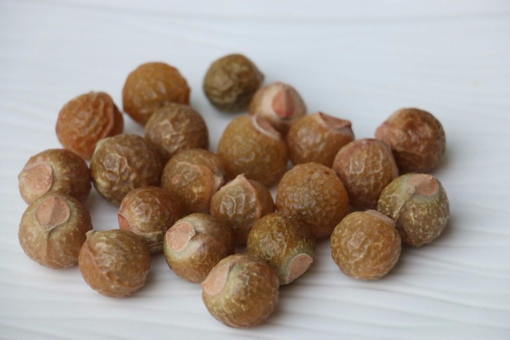 Soap Nuts With Thin Cotton Bags/ Sapindus Mukorossi/Seedless Soap Nuts