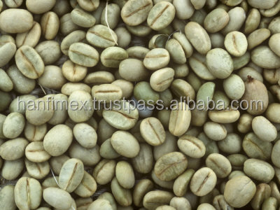 Vietnam Robusta Coffee Green Beans S16/S18 Wet Polished TOP COFFEE (Viber/Whatsaap:+84965152844)