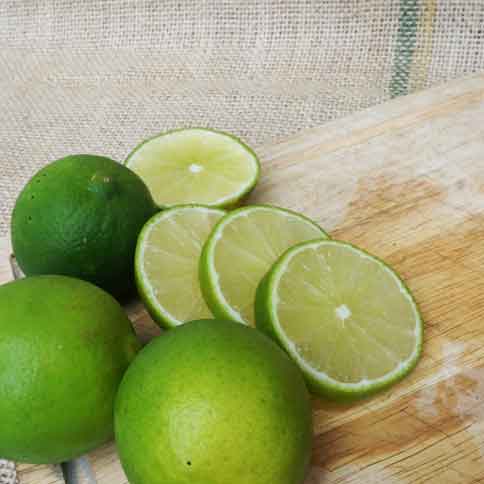 High quality fresh SEEDLESS LEMON from Vietnam