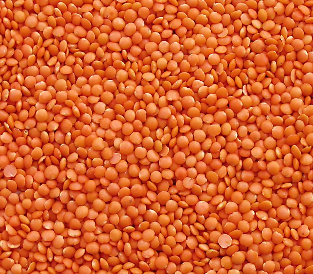Yellow/Green peas and Lentils/Pulses