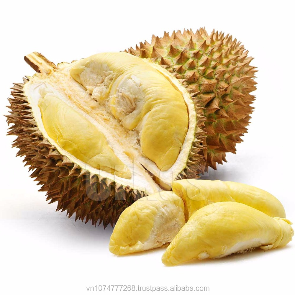 FRESH DURIAN WITH HIGH QUALITY