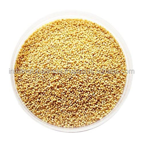 Foxtail Millet | индийский Foxtail Millet | органический Foxtail Millet Seed