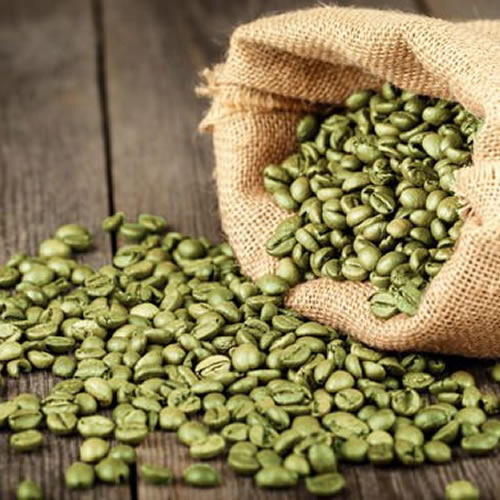 Зеленые кофейные зерна-Robusta Kaapi Royale 18