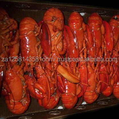 Замороженные приготовленные цельные раки/раки